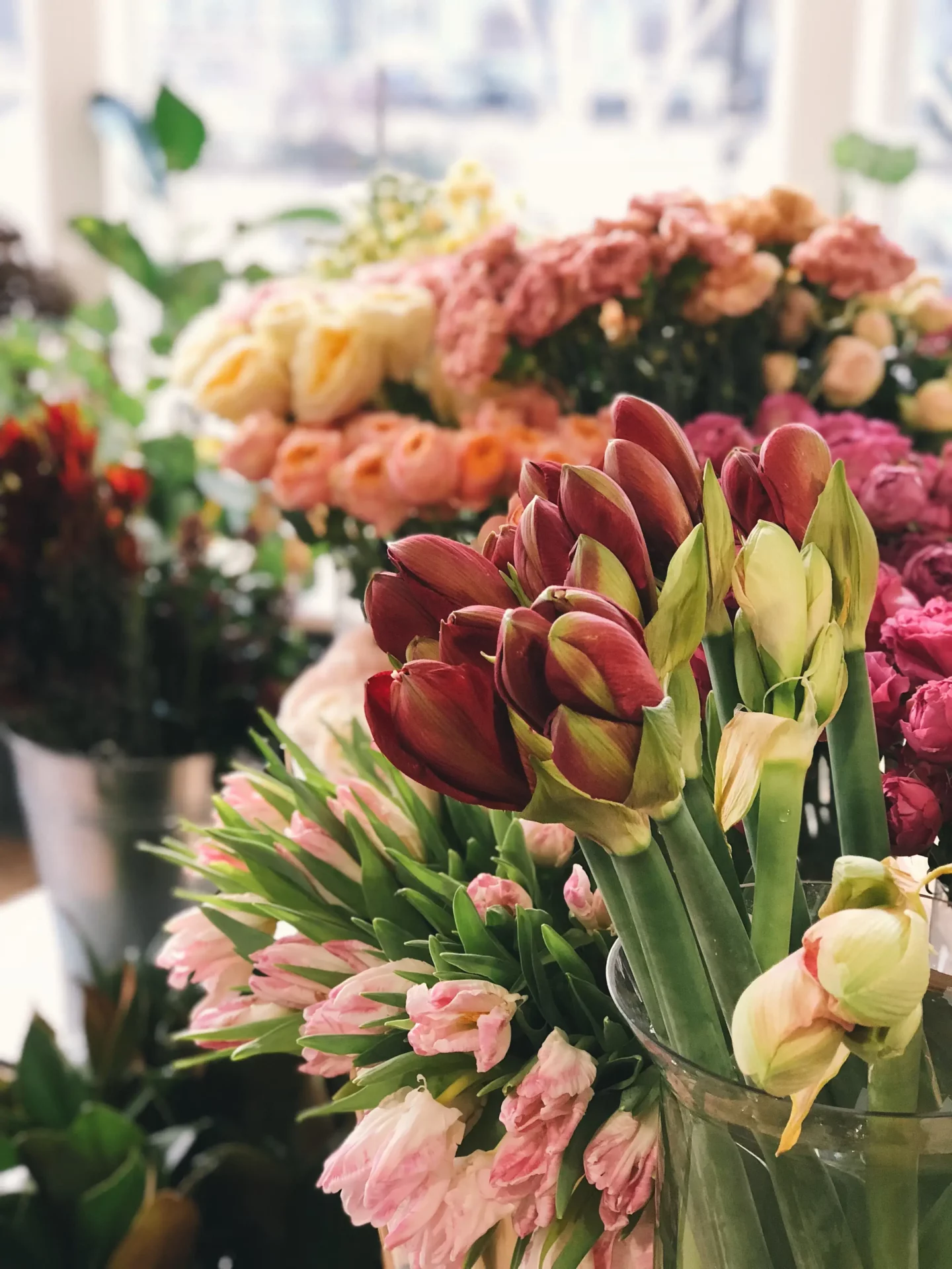 Flores usadas para celebrar San Valentín